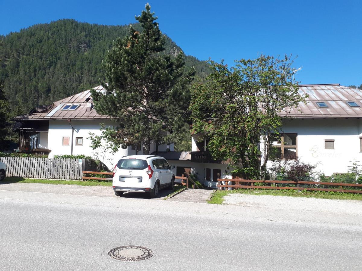 Nuovo Appartamento Les Corceles San Vigilio Extérieur photo